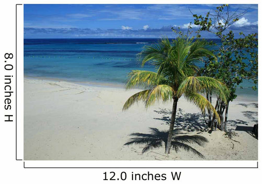 Jamaica Wall Mural