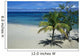 Jamaica Wall Mural