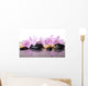 Pink Flowers and Black