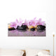Pink Flowers and Black