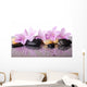 Pink Flowers and Black