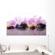 Pink Flowers and Black