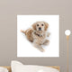 Cute Dog Sitting Down Wall Decal