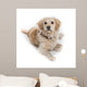 Cute Dog Sitting Down Wall Decal