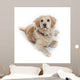 Cute Dog Sitting Down Wall Decal