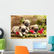 Pug Puppies and Flowers in Retro Backgraun Wall Mural