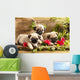 Pug Puppies and Flowers in Retro Backgraun Wall Mural