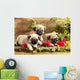 Pug Puppies and Flowers in Retro Backgraun Wall Mural
