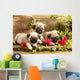 Pug Puppies and Flowers in Retro Backgraun Wall Mural