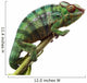 Chameleon
