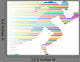Runner