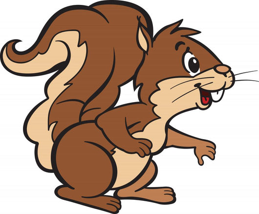 Friendly Squirell
