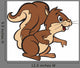 Friendly Squirell