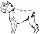 Schnauzer Dog Breed Wall Mural