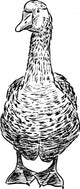 Goose Wall Decal