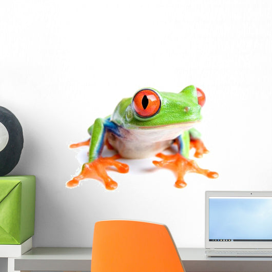 red-eyed tree frog isolated on white Wall Decal