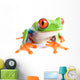 red-eyed tree frog isolated on white Wall Decal