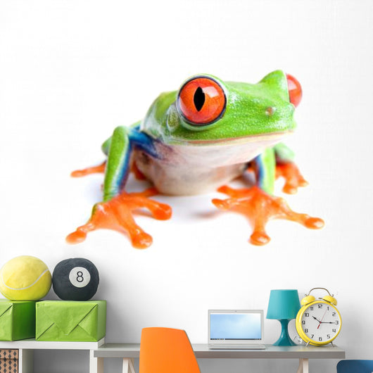 red-eyed tree frog isolated on white Wall Decal