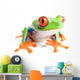 red-eyed tree frog isolated on white Wall Decal