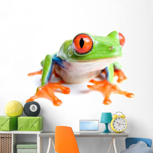 red-eyed tree frog isolated on white Wall Decal