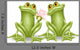 Couple Frogs