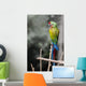 Macaw Beautiful Sitting on Branch Wall Mural