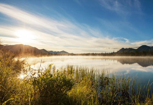 Lake Alaska Wall Mural