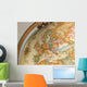 globe Wall Mural