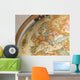 globe Wall Mural