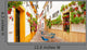 Patio Cordoba Spain