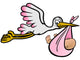 The stork brings a girl - vector and exempted Wall Decal