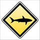warning shark attack! Wall Decal