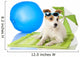 Beach Bound Dog Wall Decal