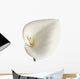 Calla Wall Decal