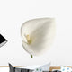 Calla Wall Decal