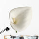 Calla Wall Decal