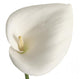 Calla Wall Decal