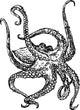Octopus Wall Decal