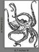 Octopus Wall Decal