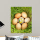 Colored Egg between Unpainted Wall Mural