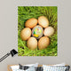 Colored Egg between Unpainted Wall Mural