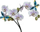 Light Orchid Flowers and Two Blue Butterflies Wall Decal