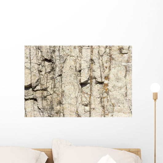 Rock Texture