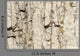 Rock Texture