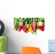 spring tulips border Wall Decal