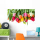 spring tulips border Wall Decal