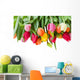 spring tulips border Wall Decal
