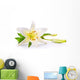 art easter lily flower isolated on white background Wall Decal
