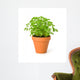 Parsley Clay Pot