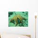 Common Starfish Wall Mural